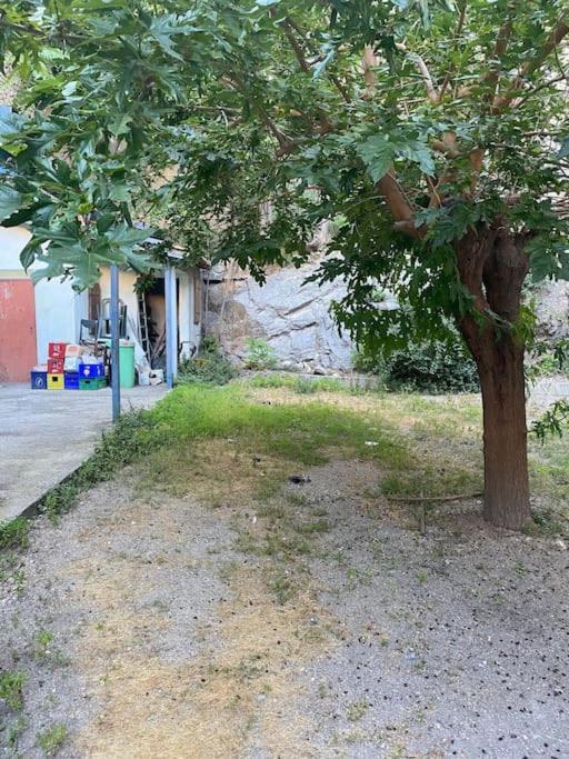 Appt 4 Pers Avec Jardin Ombrage En Centre Ville De Sète Dış mekan fotoğraf