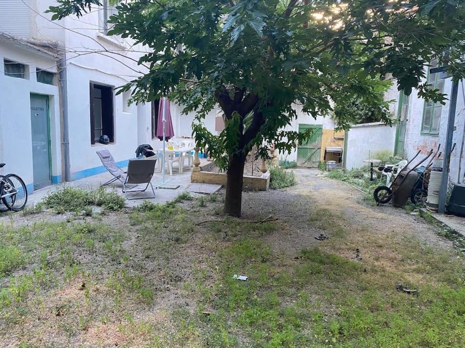 Appt 4 Pers Avec Jardin Ombrage En Centre Ville De Sète Dış mekan fotoğraf